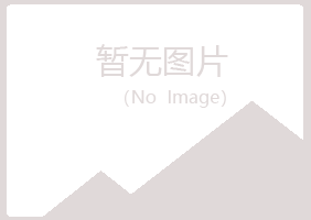 黄山区匆匆能源有限公司